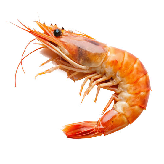 Berat dan size udang